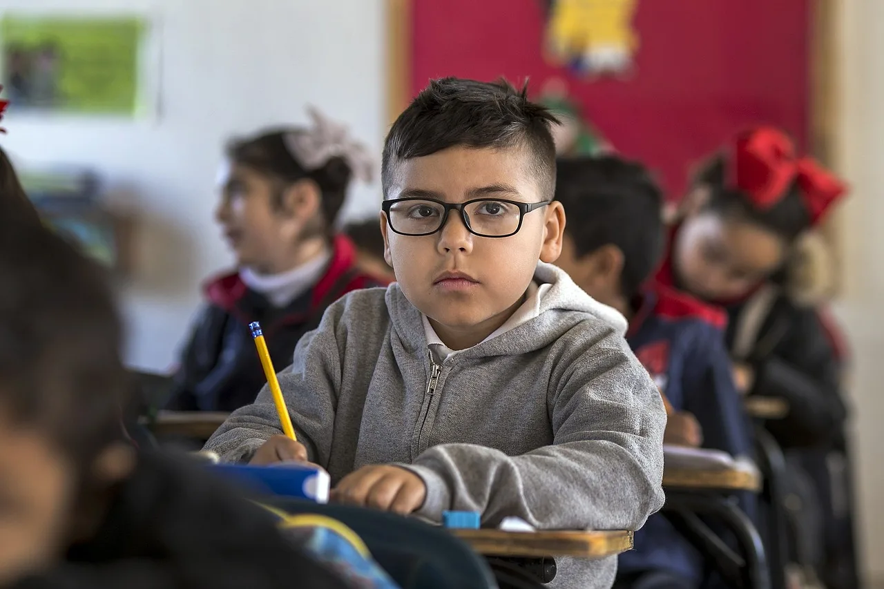 Desenvolvimento De Programas De Educação Inclusiva