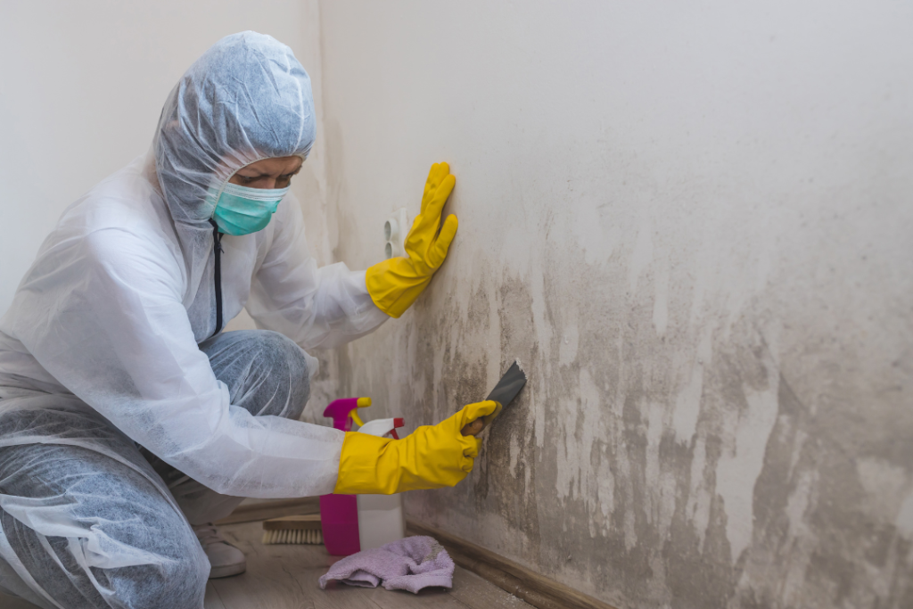 O SURGIMENTO DE MOFO NO TETO DO BANHEIRO É UMA QUESTÃO FREQUENTE, PROVOCADA PELA UMIDADE CONSTANTE E A INSUFICIÊNCIA DE VENTILAÇÃO APROPRIADA. ESSE TIPO DE FUNGO PROLIFERA EM SUPERFÍCIES ÚMIDAS E ABSORVENTES, COMO OS TETOS DE BANHEIROS, OCASIONANDO MANCHAS ESCURAS E ALTERAÇÕES NA COLORAÇÃO.