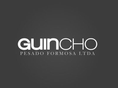 Reboque de veículos pesados em Goiás