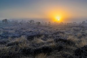 SERVIÇOS DE CONSULTORIA AMBIENTAL