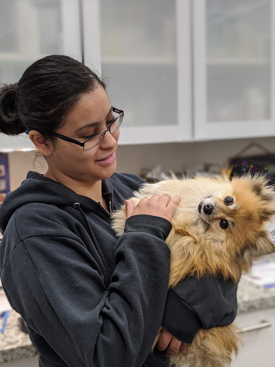 Serviços De Ortopedia Veterinária