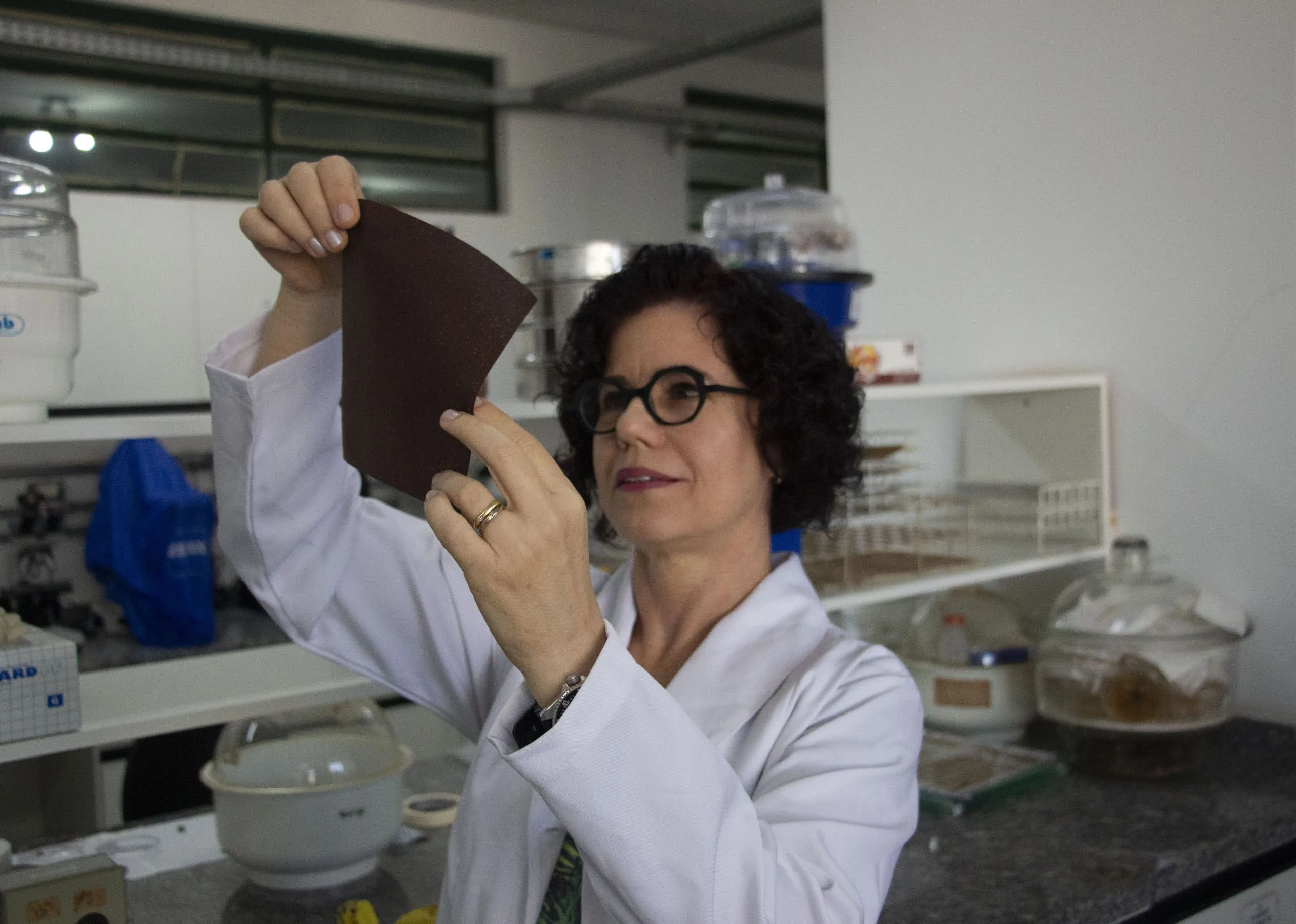 A casca de banana é a matéria-prima utilizada por pesquisadores da embrapa instrumentação (sp) e da universidade federal de são carlos (ufscar) para criar filmes bioplásticos com potencial aplicação como embalagens ativas de alimentos. Por meio de um processo simples, com pré-tratamentos brandos, que utilizam apenas água ou uma solução ácida diluída, os pesquisadores converteram integralmente e pioneiramente cascas de banana em filmes bioplásticos com excelentes propriedades antioxidantes, proteção contra a radiação ultravioleta (uv), e sem gerar resíduos. O método simples transforma cascas de banana em filmes bioplásticos é algo inovador. Foto: Mariana Franzoni