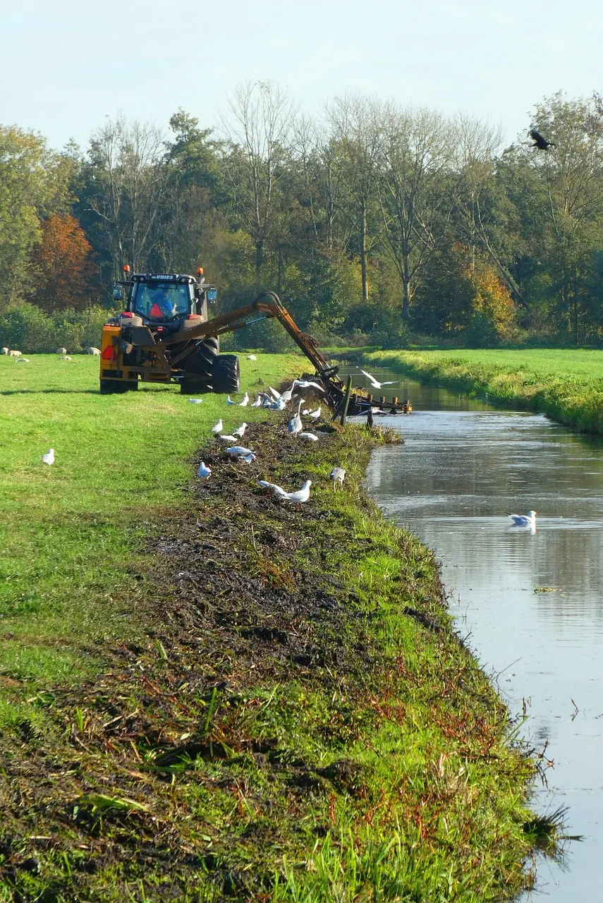 Serviços De Limpeza E Dragagem De Rios