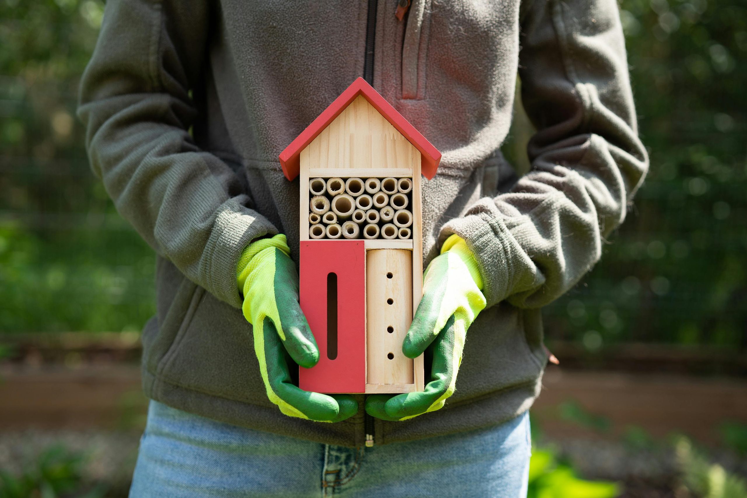 Serviços De Bioconstrução