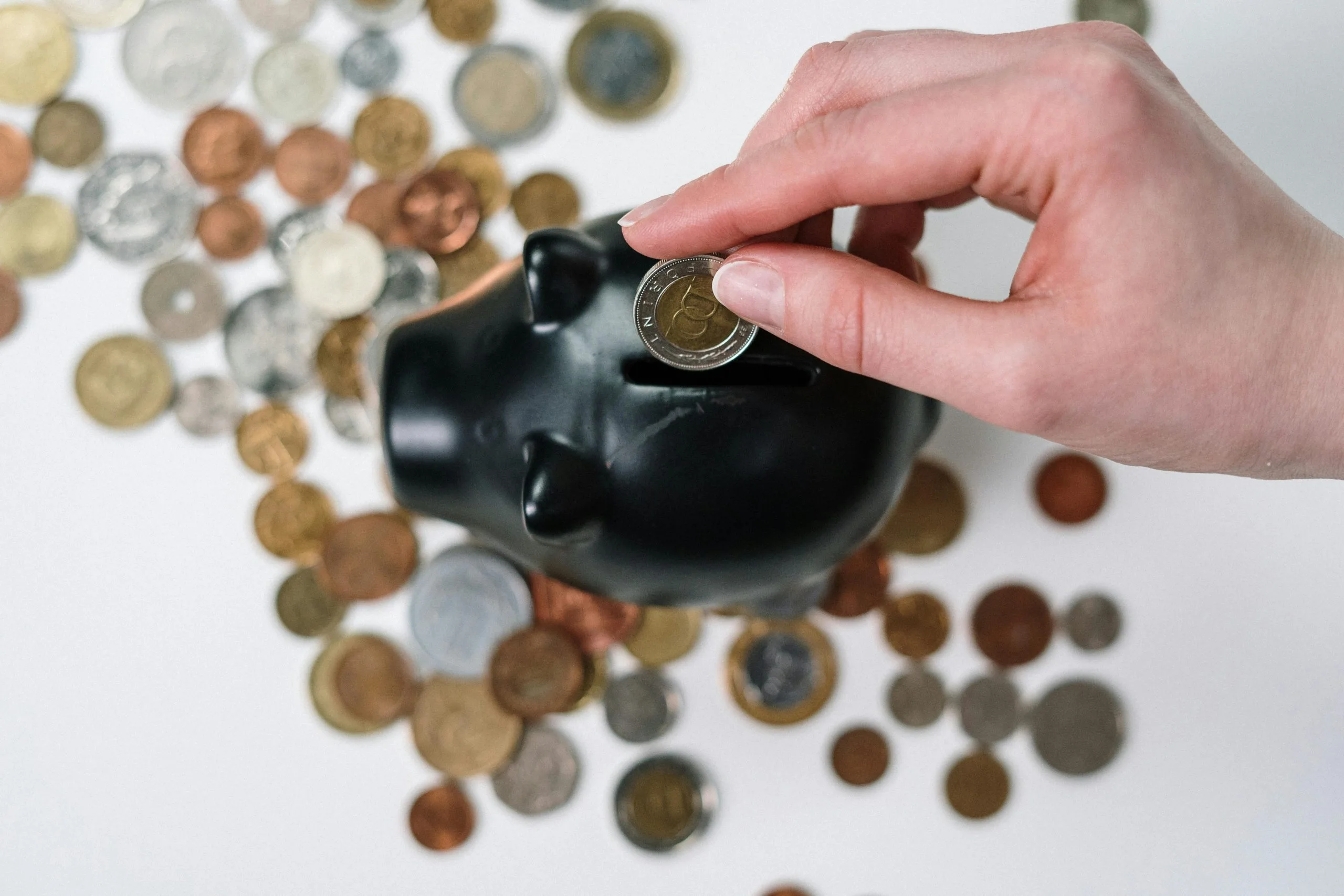 Capital De Risco Na Prestação De Serviços