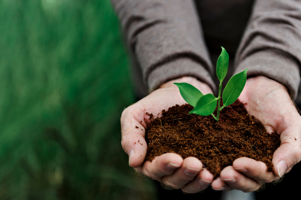 Adotar Um Estilo De Vida Sustentável Não Precisa Ser Uma Tarefa Difícil Ou Onerosa. Com Pequenas Mudanças Em Nossos Hábitos Diários, Podemos Contribuir Significativamente Para A Preservação Do Nosso Planeta.