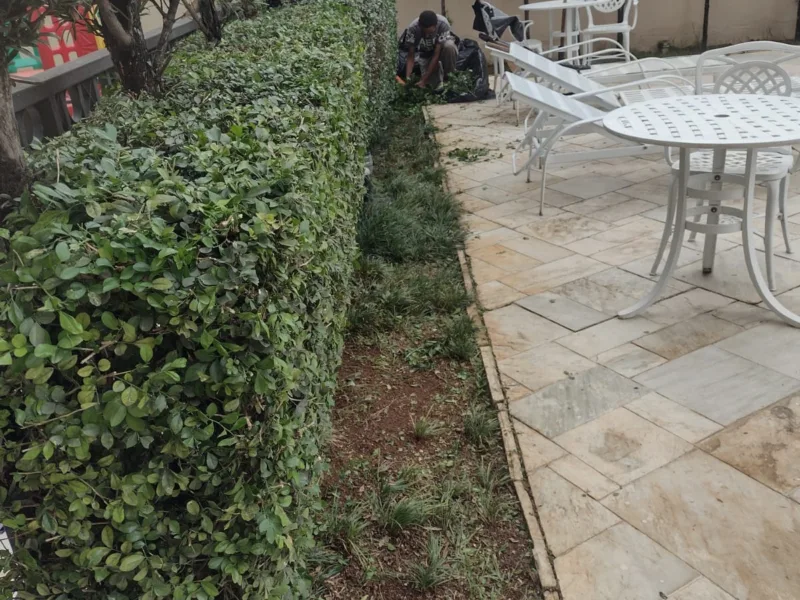 Jardinagem em Votorantim