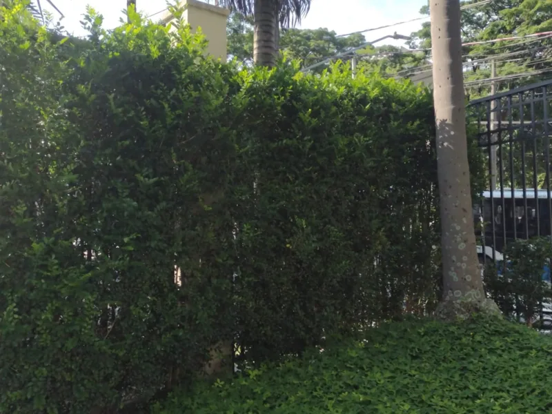 Jardinagem em Sorocaba e Região