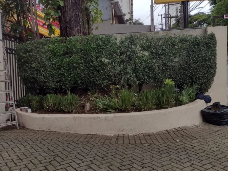 Jardinagem em Sorocaba e Região