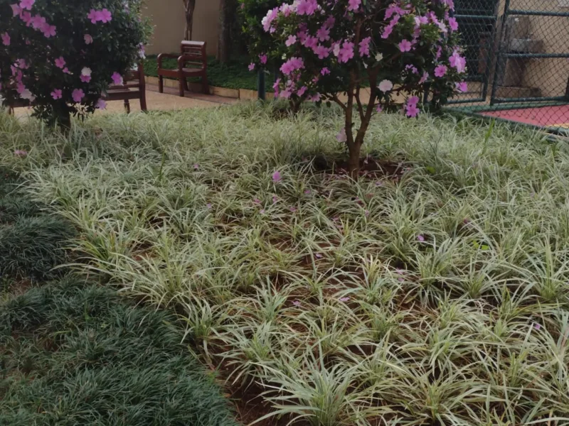 Jardinagem em Sorocaba e Região