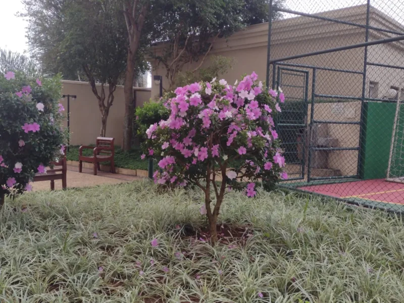 Jardinagem em Sorocaba e Região