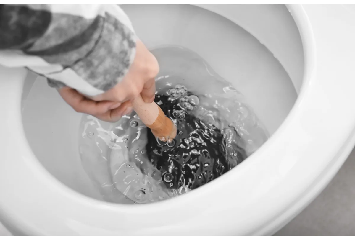 Desentupir Vaso Sanitário: Guia Completo Com 7 Técnicas Eficazes