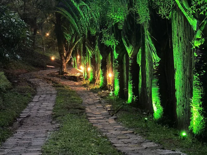 Serviços elétricos em Palhoça/SC