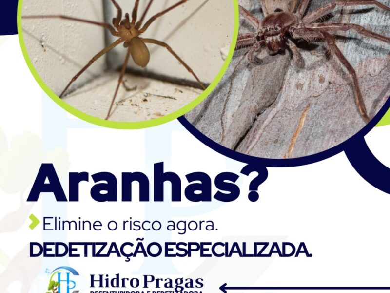 Desentupidora em São Paulo