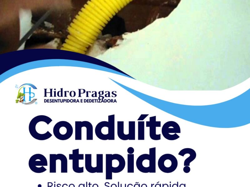 Desentupidora em São Paulo