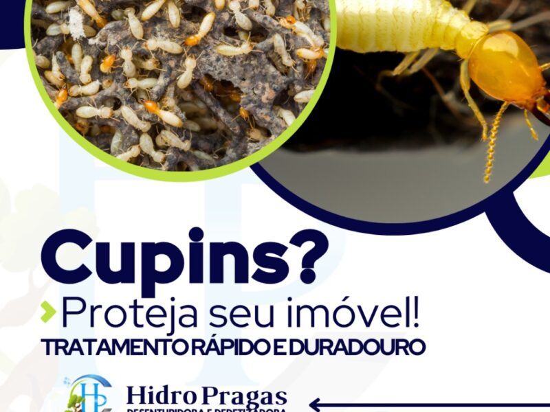 Desentupidora em São Paulo