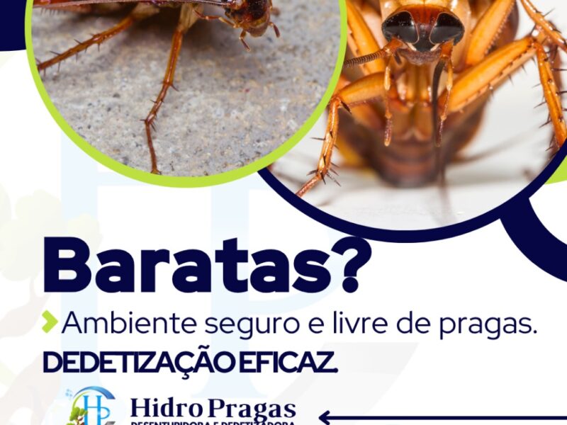 Desentupidora em São Paulo