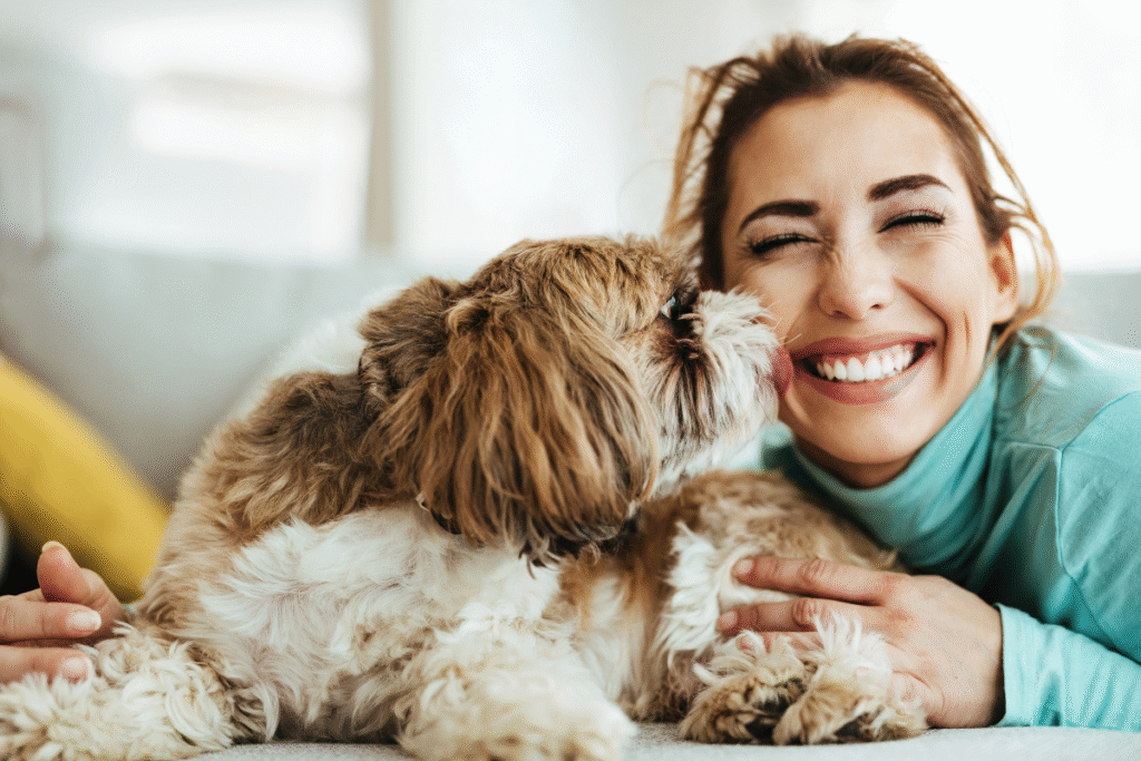 Serviços Complementares Para O Pet Love Completo