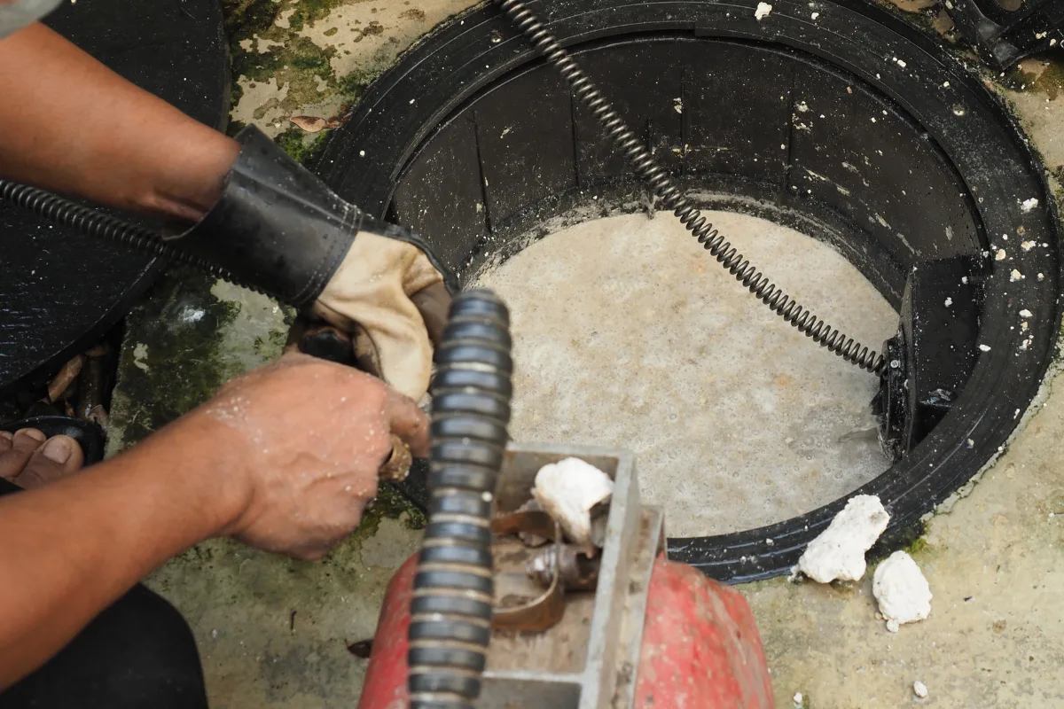 A Importância Da Limpeza Da Caixa De Gordura