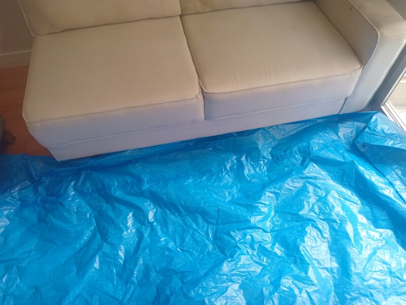 Higienização de Sofás em São Paulo