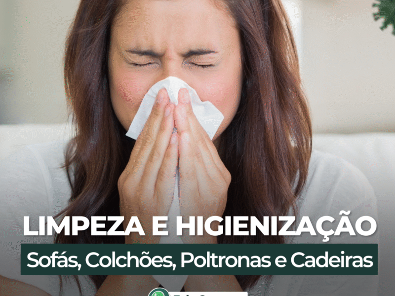 Limpeza de Sofá em Araraquara