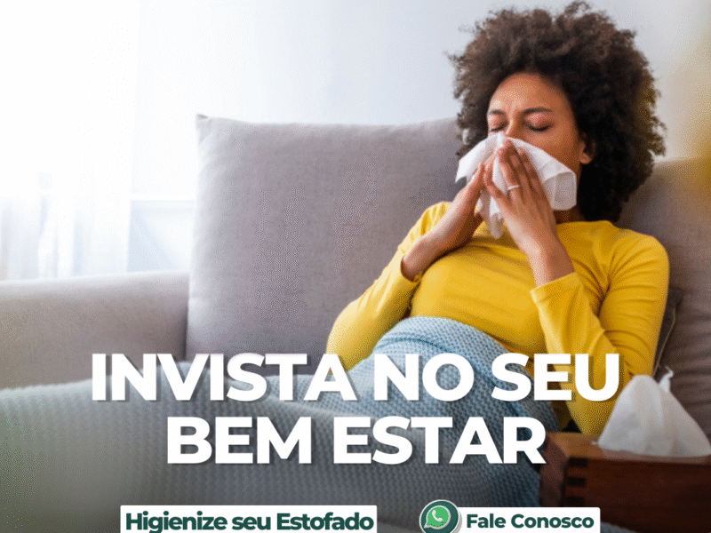 Limpeza de Sofá em Araraquara