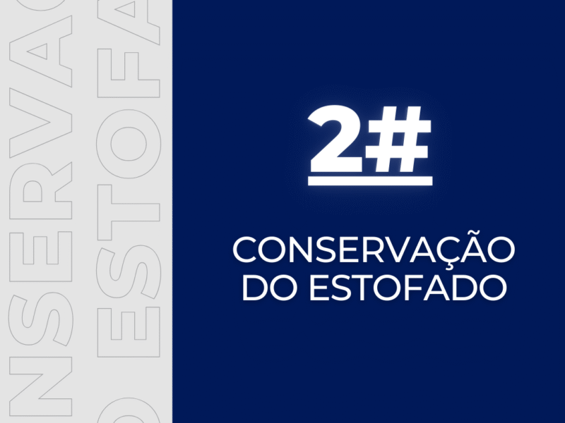 Limpeza de Sofá em Araraquara