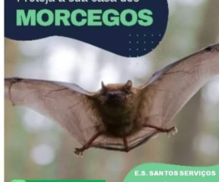 Dedetização em Manaus