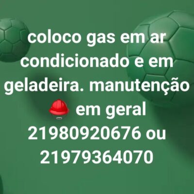 Leandro G. C. Reis - Conserto e manutenção de eletrodoméstico 
