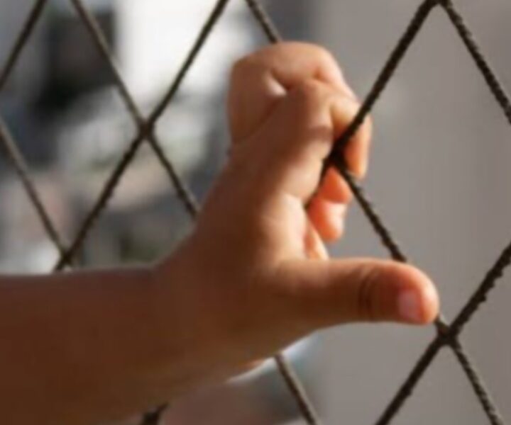 Redes para janelas em São Paulo