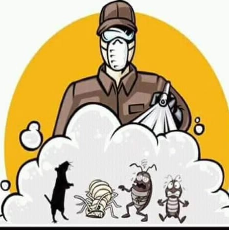 Serviços - Contratar serviços Ercio Rodrigues - Desinsetização e desratização