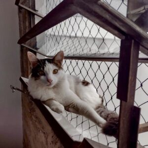 Serviços - Contratar serviços inbound2781182980872068732 942660aae78926e04b38ba65944ff9e0 Conecte-se com muitos Prestadores de Serviços em todo Brasil. Contrate serviços, compare preços, avaliações e contrate Pedreiro, Eletricista, Encanador e centenas de outros serviços com segurança e garantia de qualidade.