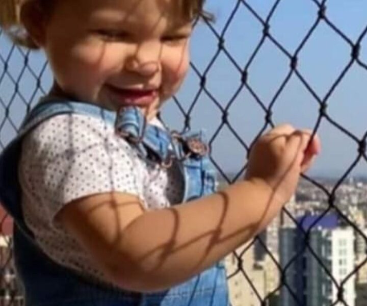 Redes para janelas em São Paulo