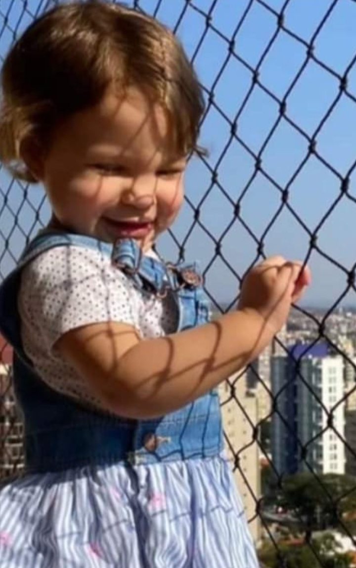 Rogério Pimenta - Redes de Proteção