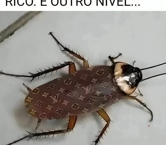 Desinsetização em São Paulo