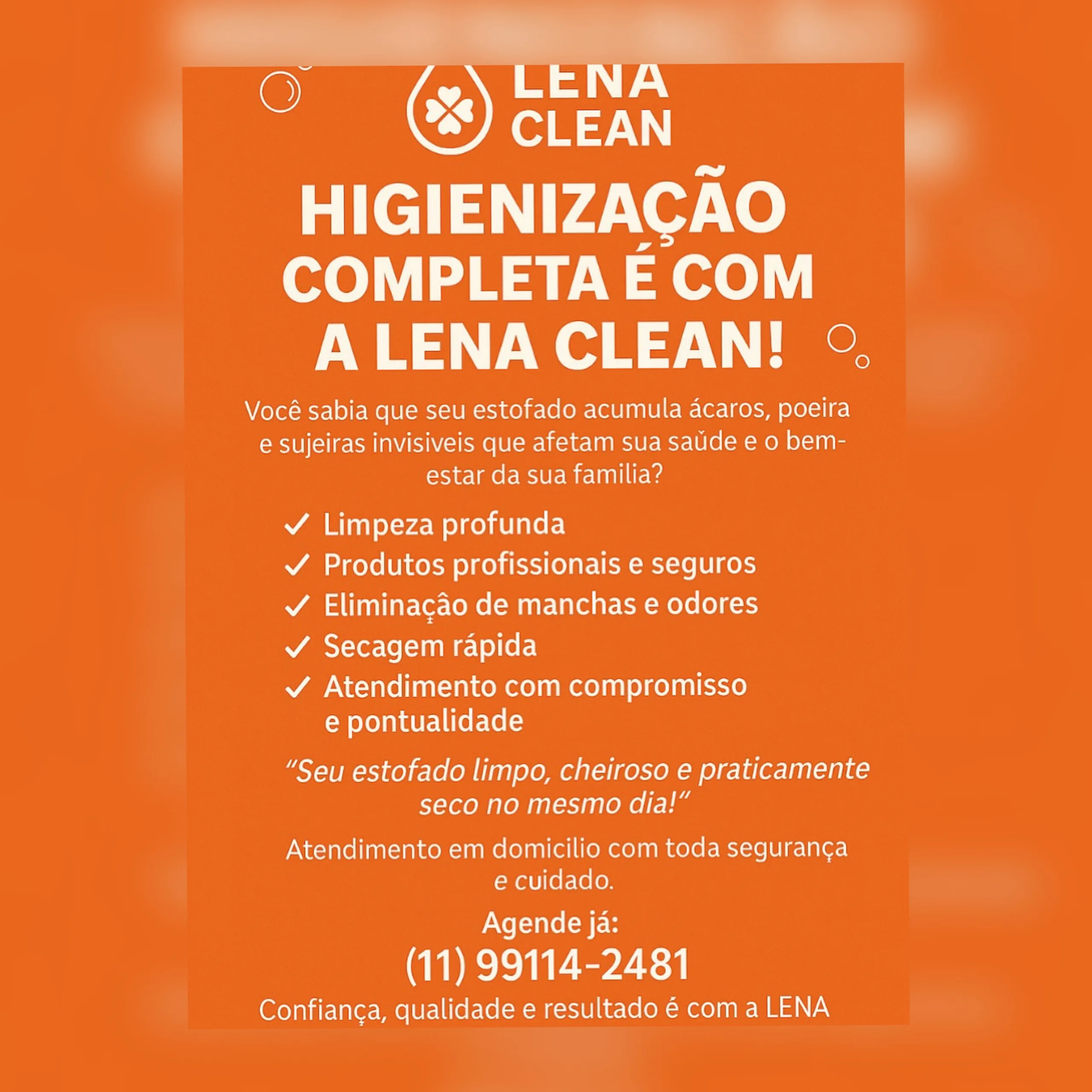 Lena Clean Higienização De Estofados Em São Paulo