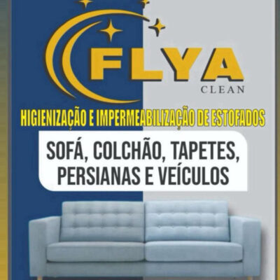 Felipe Farias - FLYA CLEAN