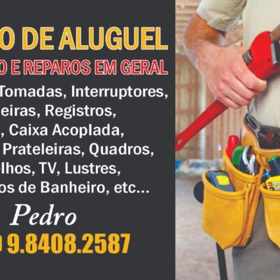 Pedro Luiz - Pequenos Reparos