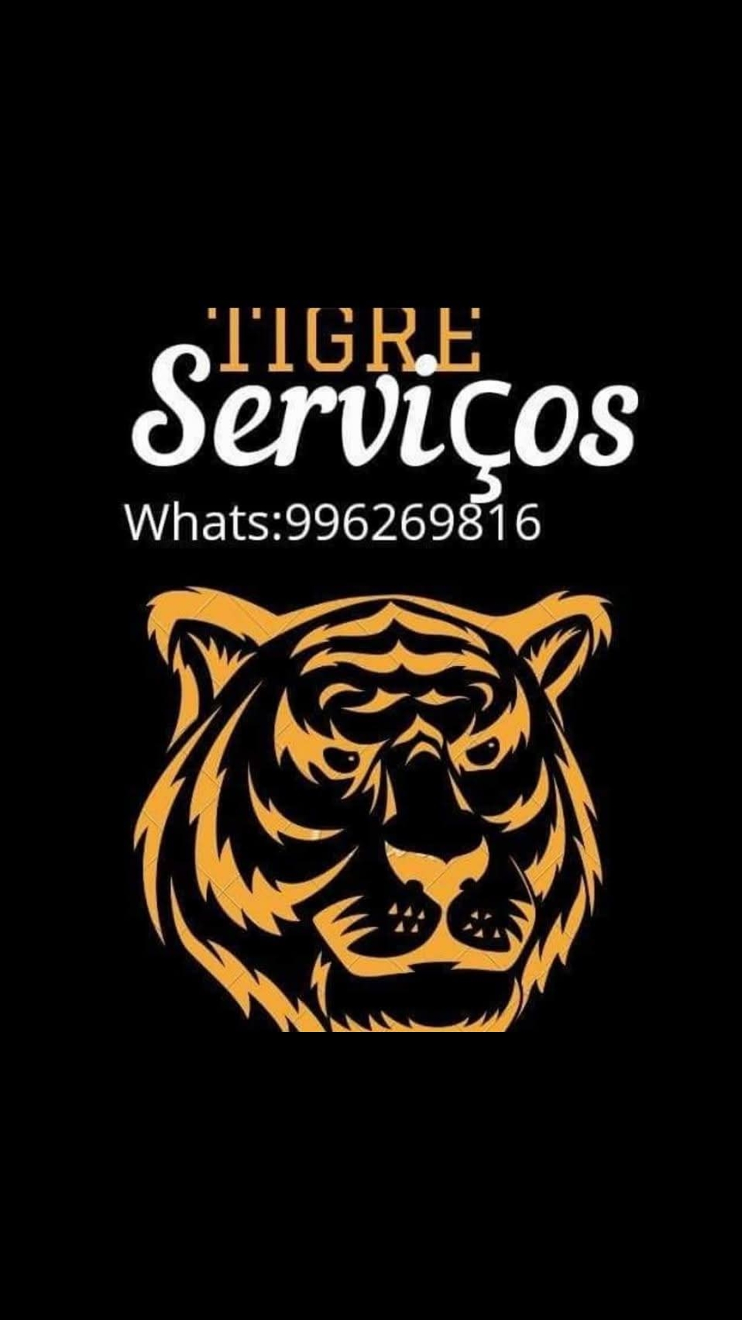 Paulo de Tarso Pinto - Eletricista e Encanador