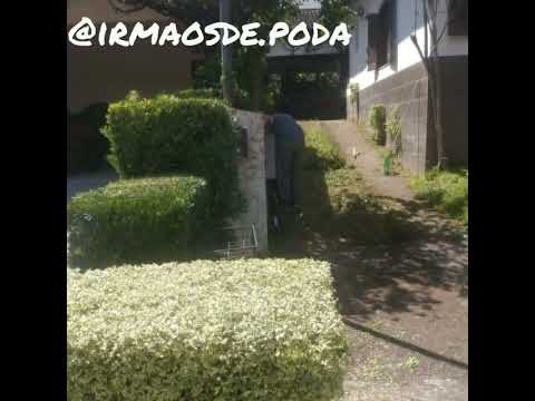 Limpeza de terreno - Carapicuíba/SP