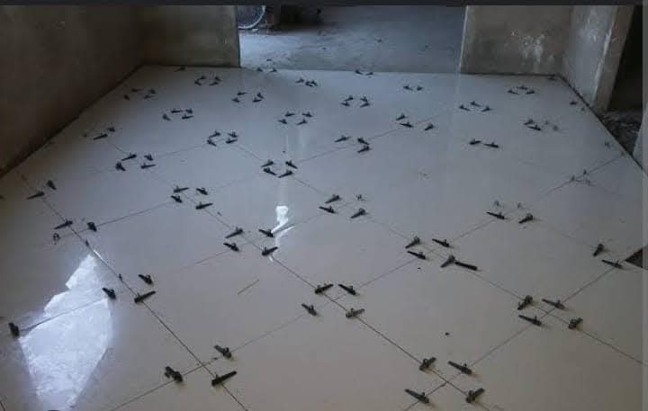 Pedreiro construção