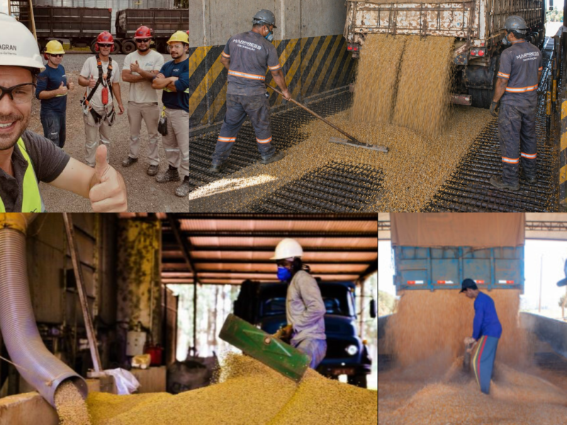 Prestador de serviços logísticos