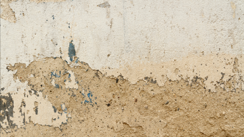 Pintura está velha? Chame um pintor no Tá Contratado Pintura está velha? Chame um pintor no Tá Contratado pintura velha A pintura velha vai além da estética — ela compromete a estrutura da casa e desvaloriza o imóvel. Saber contratar o pintor certo faz toda a diferença: evita retrabalho, prejuízo e dor de cabeça. Neste guia você descobre quanto custa, quais erros evitar e como encontrar profissionais verificados pelo Tá Contratado de forma rápida e segura.
