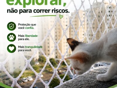 Redes de proteção